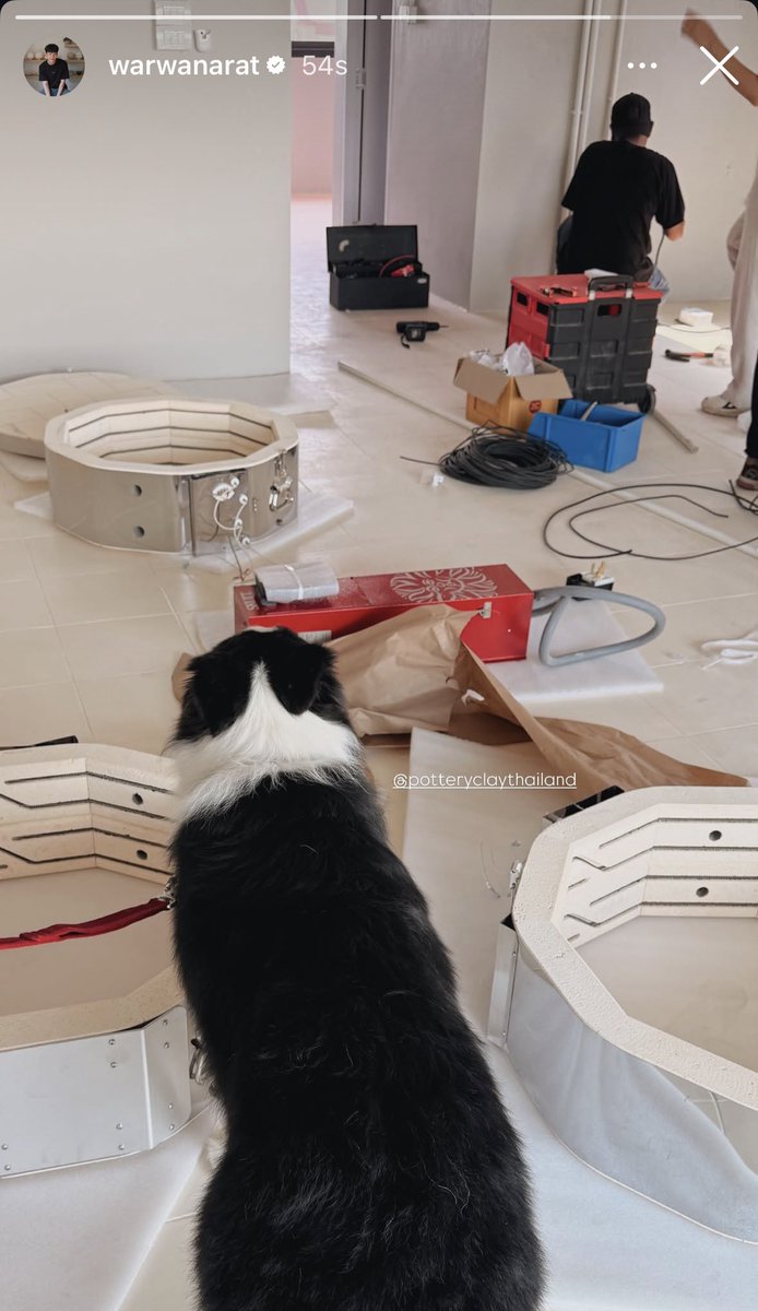 𝐏𝐨𝐥⋆แฟรี่ไม่มีผงพิกซี่ 𐙚 ༘̊⋆ tweet media