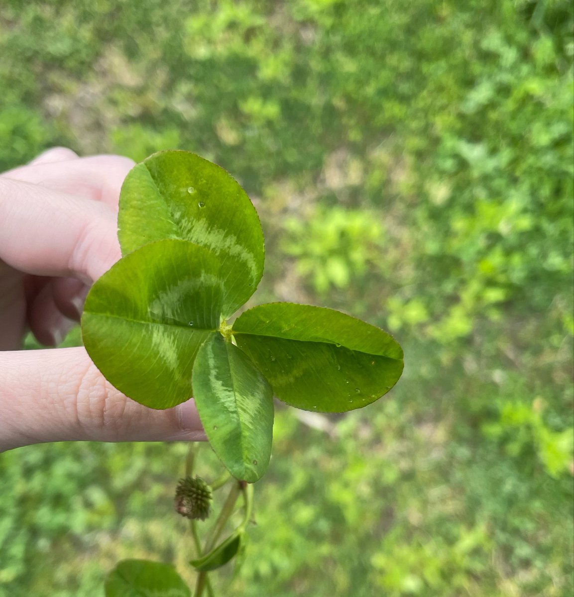 ＊-manami-＊ tweet media