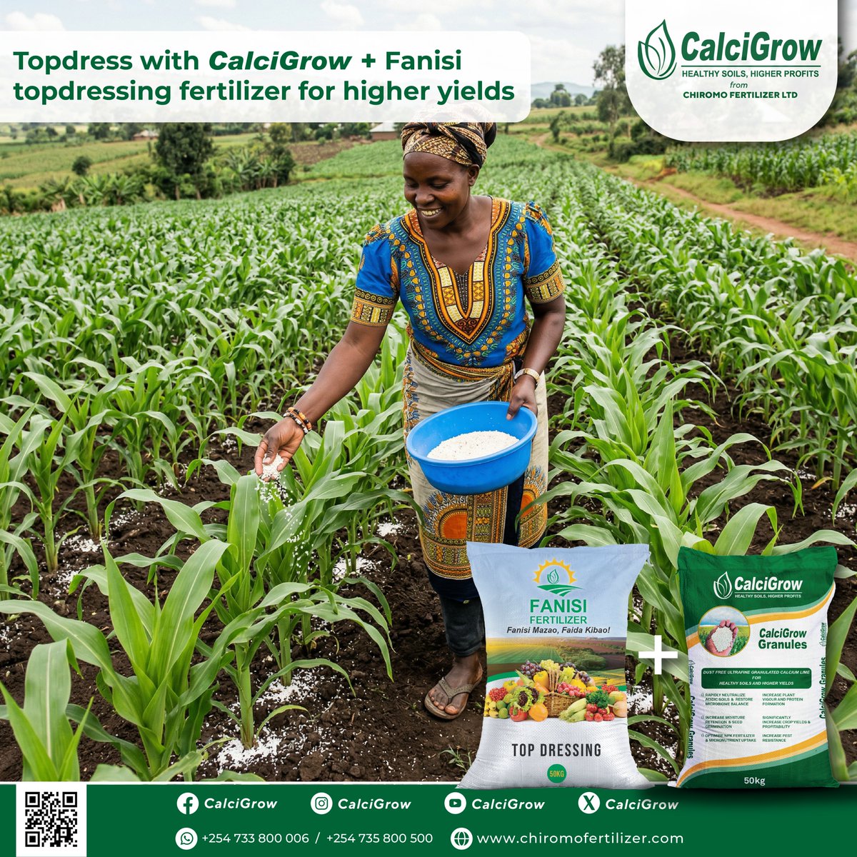 CalcigrowGranul's tweet photo. Topdressing time is here and this is where yields are made.
At this stage, your maize needs the right nutrients to grow stronger, greener, and produce fuller cobs.

By using CalciGrow + Fanisi Topdressing Fertilizer (1:1 ratio) you stand a chance of harvesting more https://t.co/QISRGDdhkD