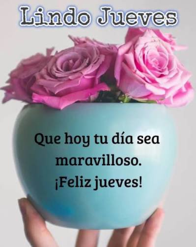 Bonito y maravilloso día 🌻☕️🌻🥰🥰