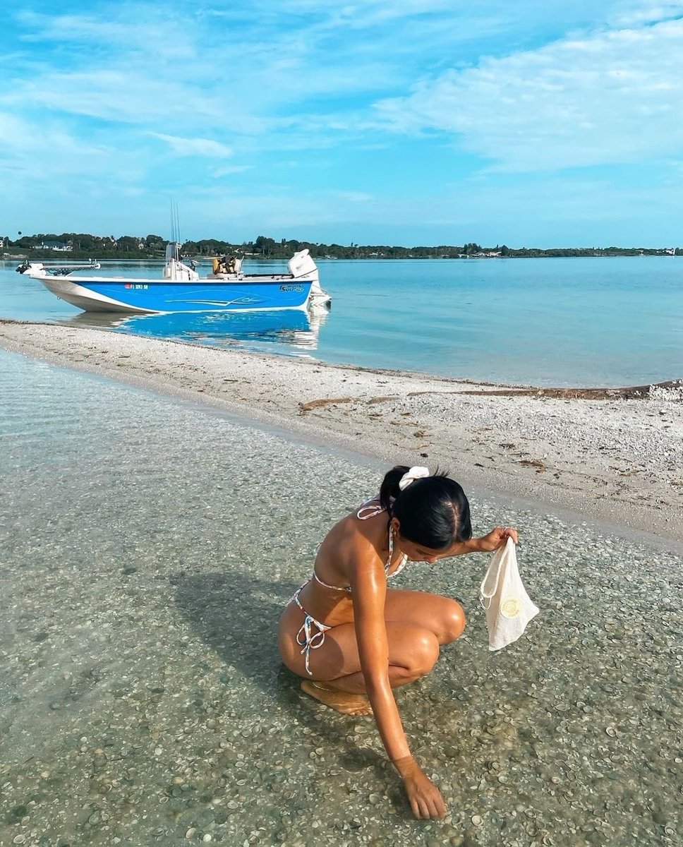 p˚୨୧⋆｡🐈˚ ⋆ tweet media