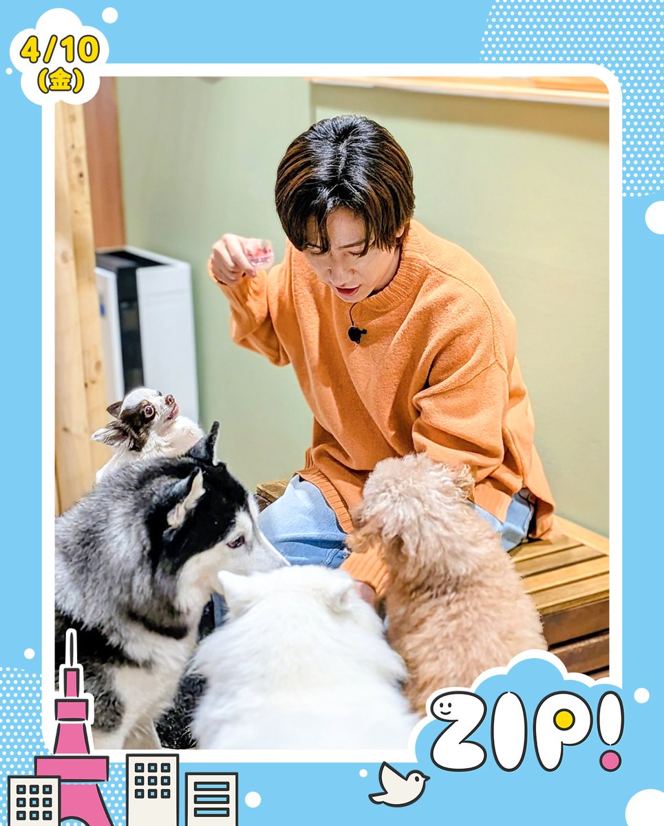 ZIP! 【公式】 tweet media