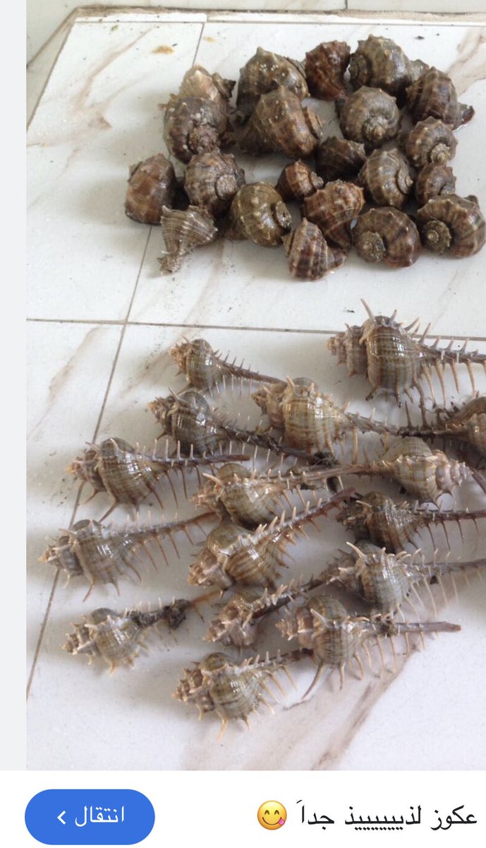 الأديب السعودي عز tweet media