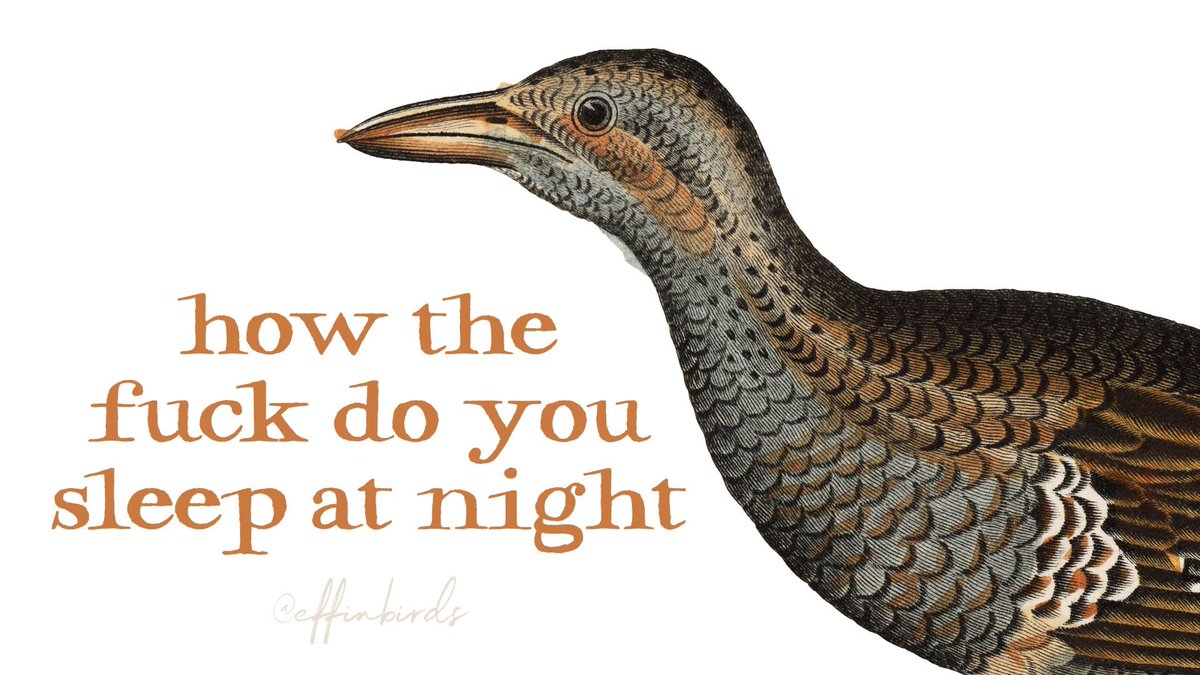 J 🏳️‍🌈💙💉💪😷🏳️‍⚧️🚴‍♀️ tweet media