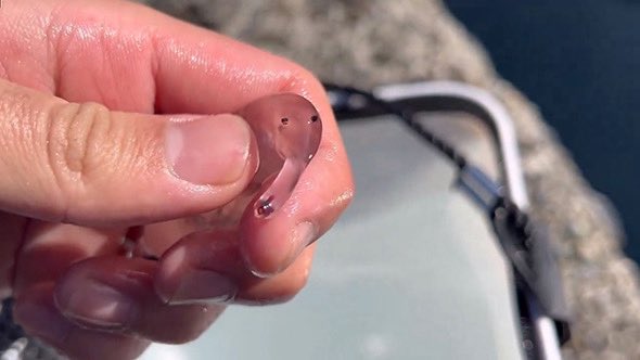 たかやま@たかやま tweet media