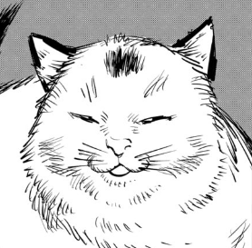 Gloomy 💜✌️ tweet media