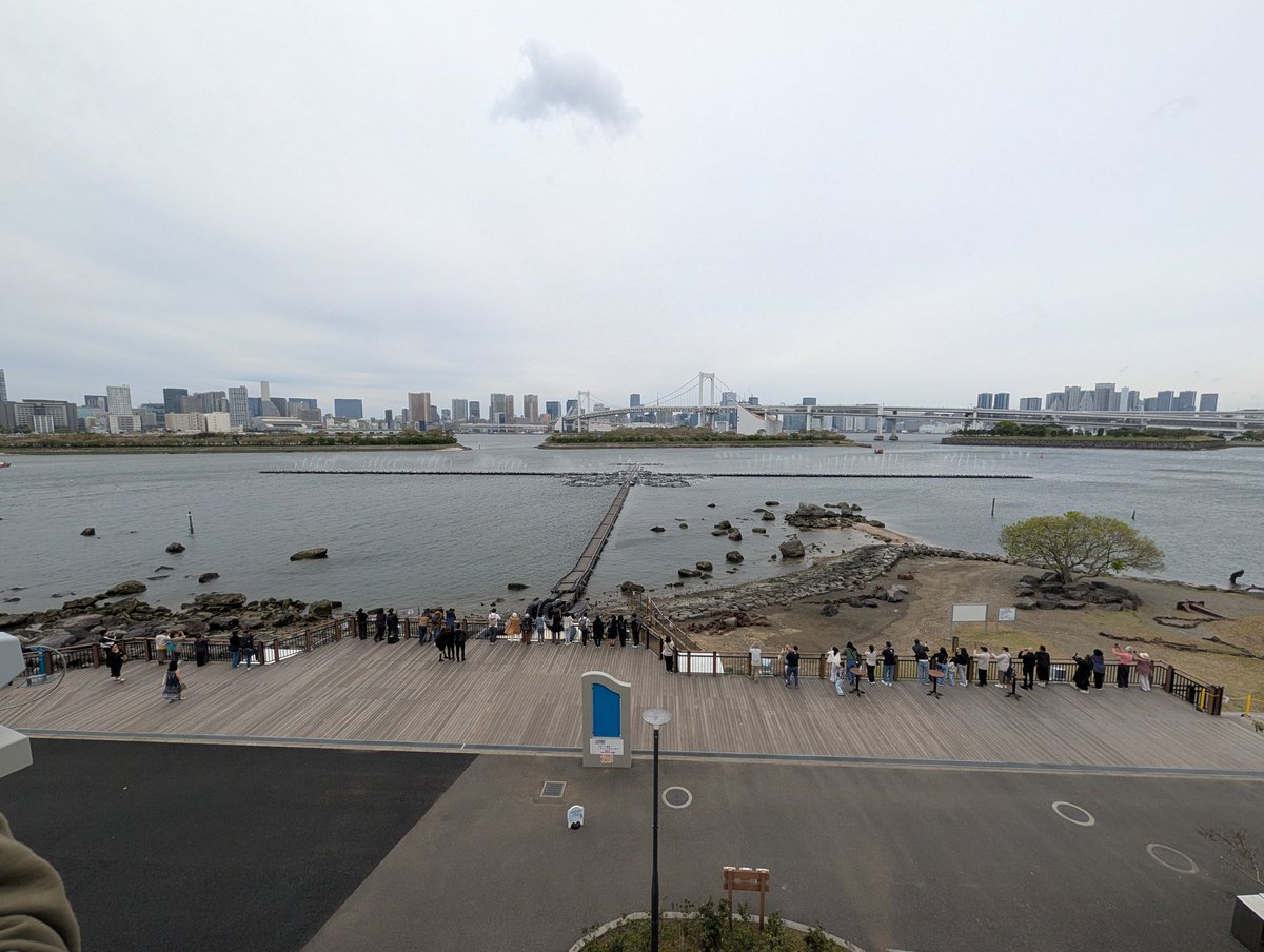 M_Kobayashi/ TOKYO tweet media