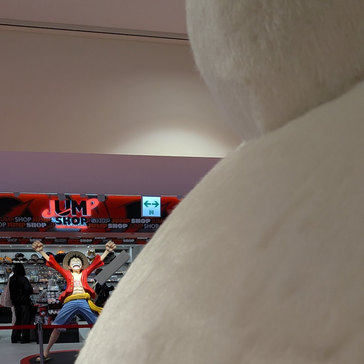 ゲルニカ tweet media