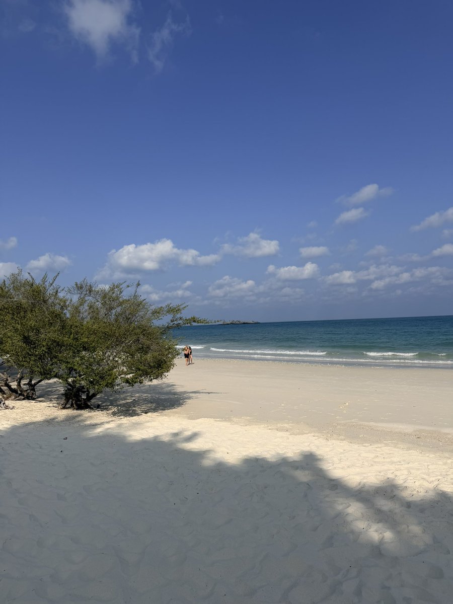 BAS_22365_383's tweet photo. Paradee , Koh Samet https://t.co/bvoG8OulTI
