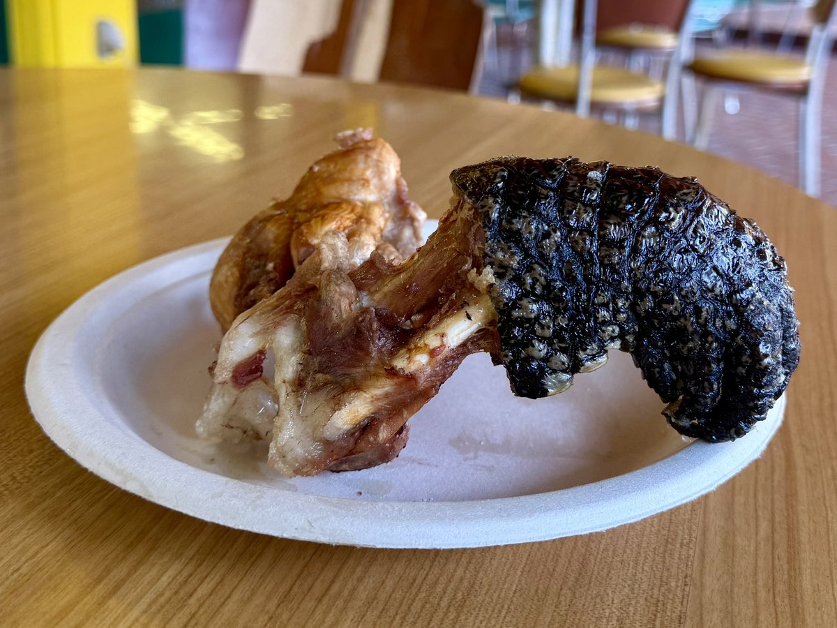 野外民族博物館リトルワールド【公式】 tweet media