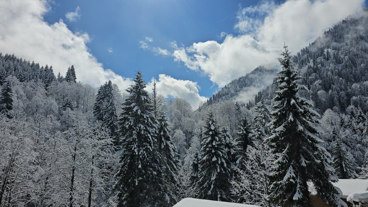 Samsun Haber Has tweet media