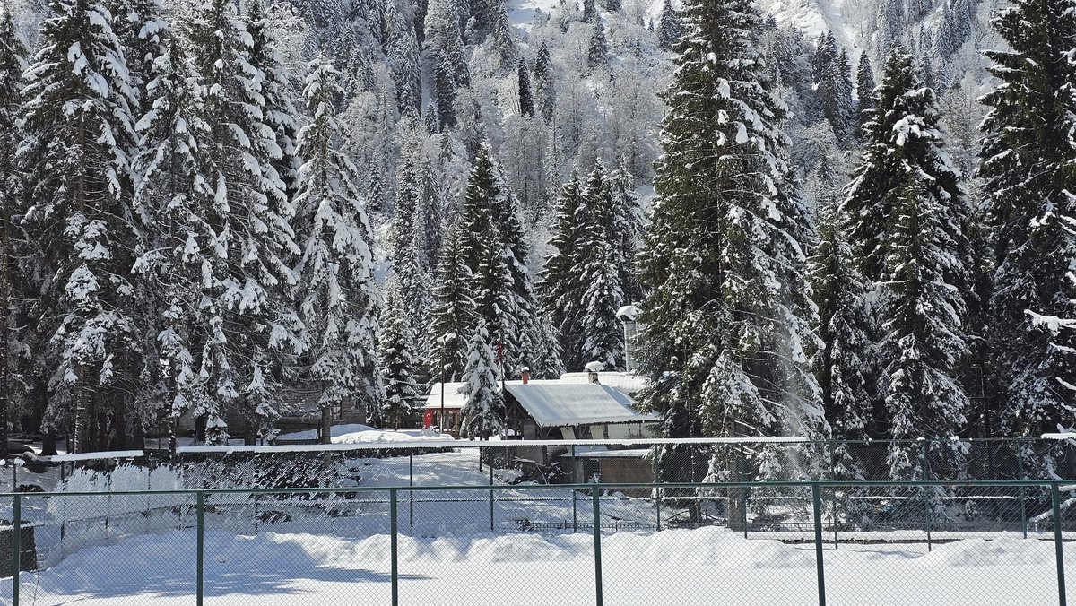 Samsun Haber Has tweet media