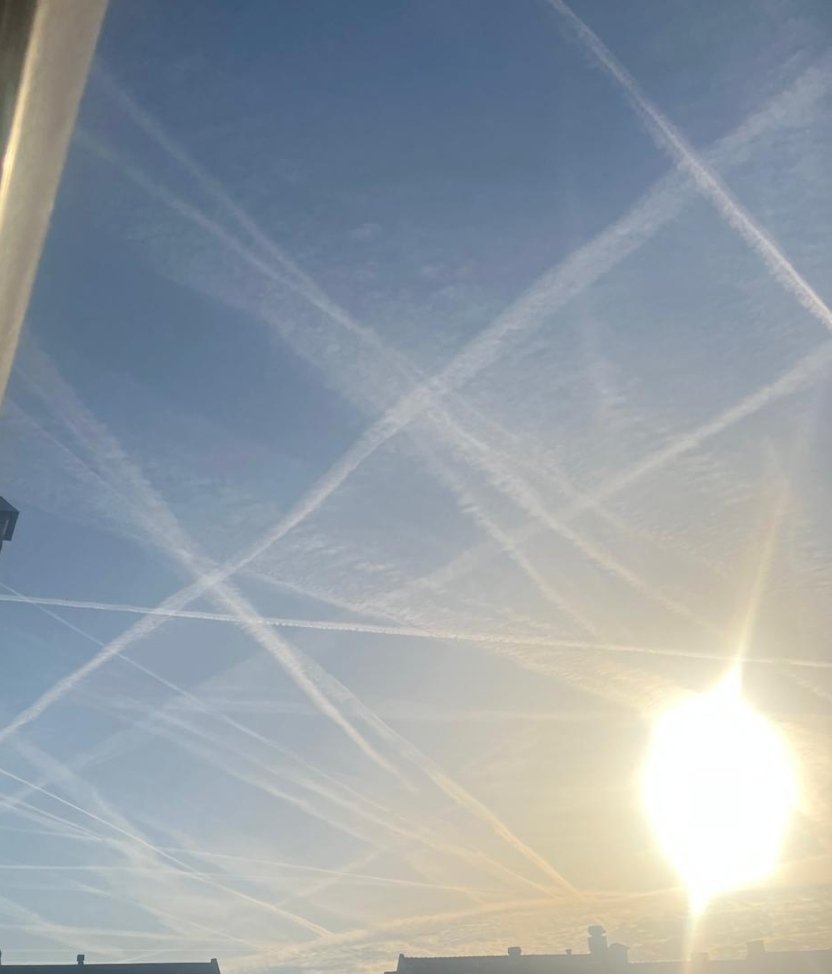 Coen Vermeeren tweet media