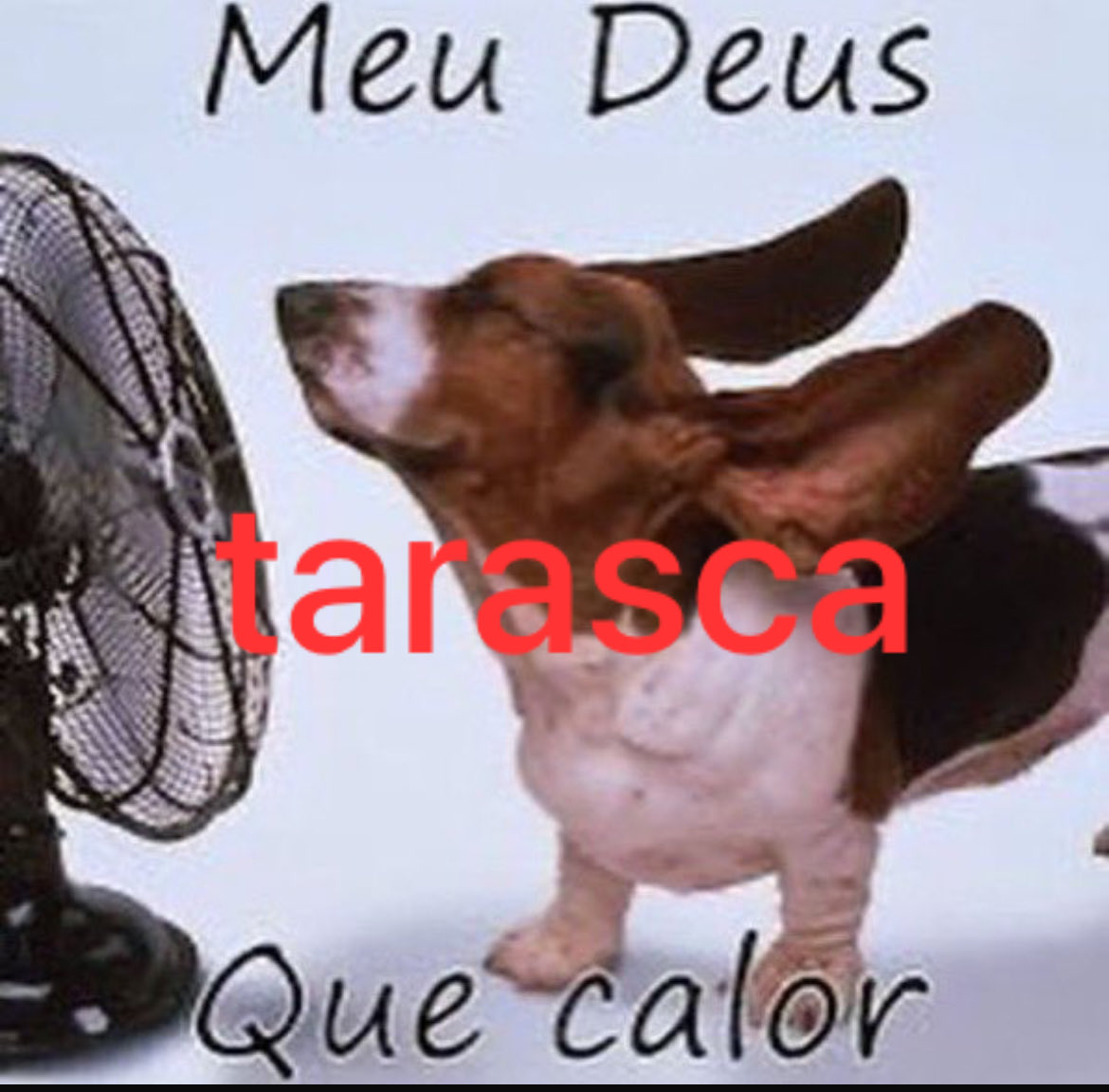 tarasca