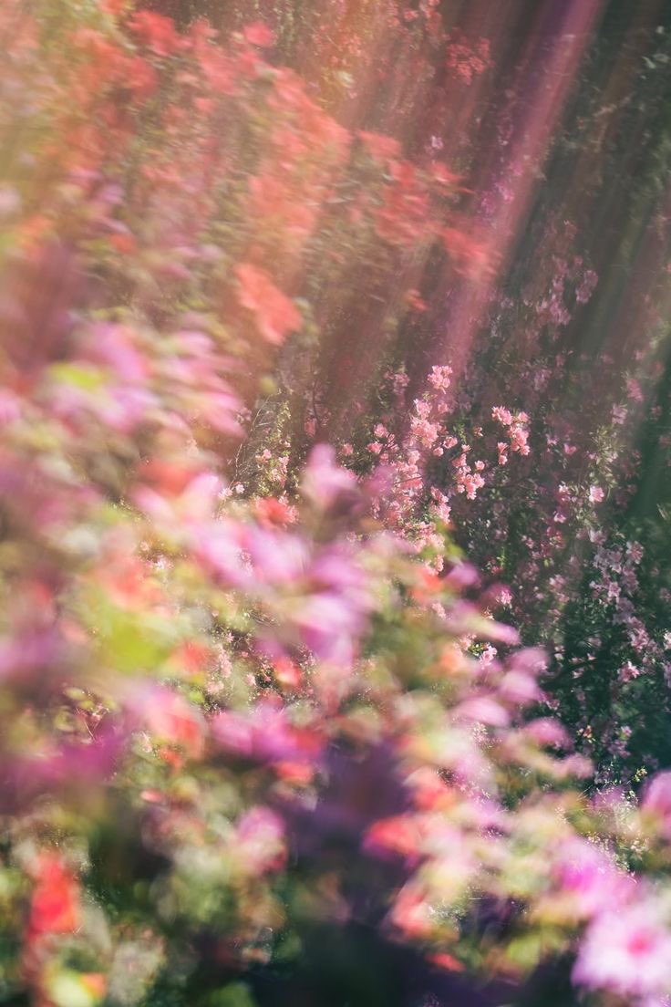 Rani ☘︎ tweet media