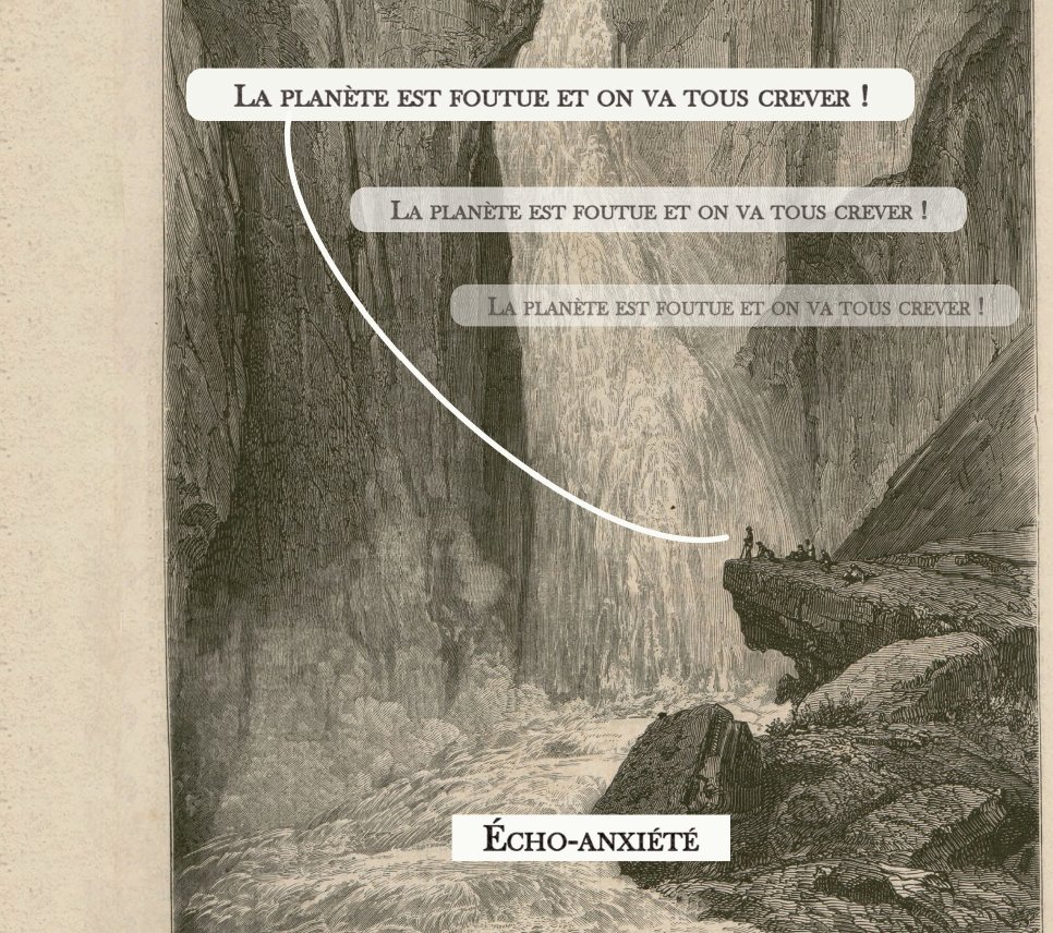 la librairie lapin tweet media