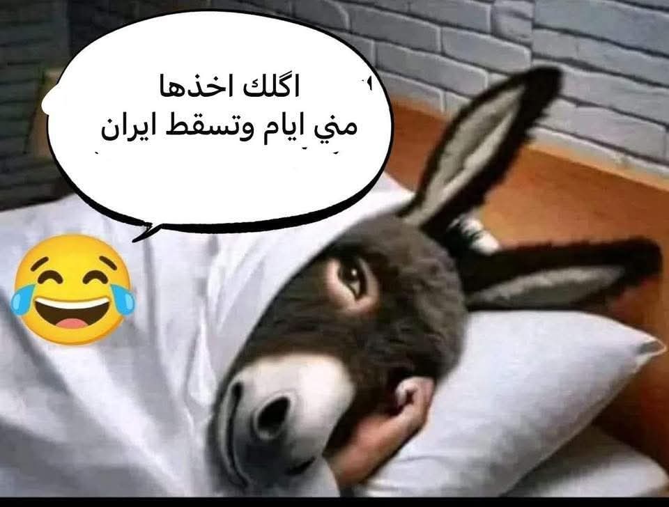 وكت أغبر tweet media