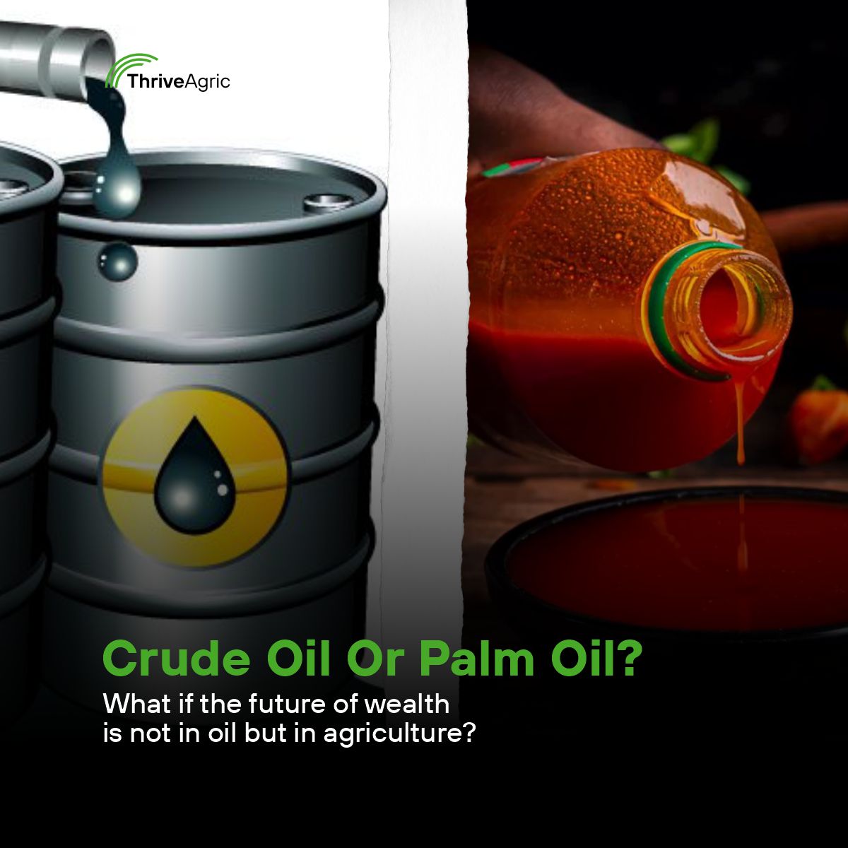 ThriveAgric tweet media