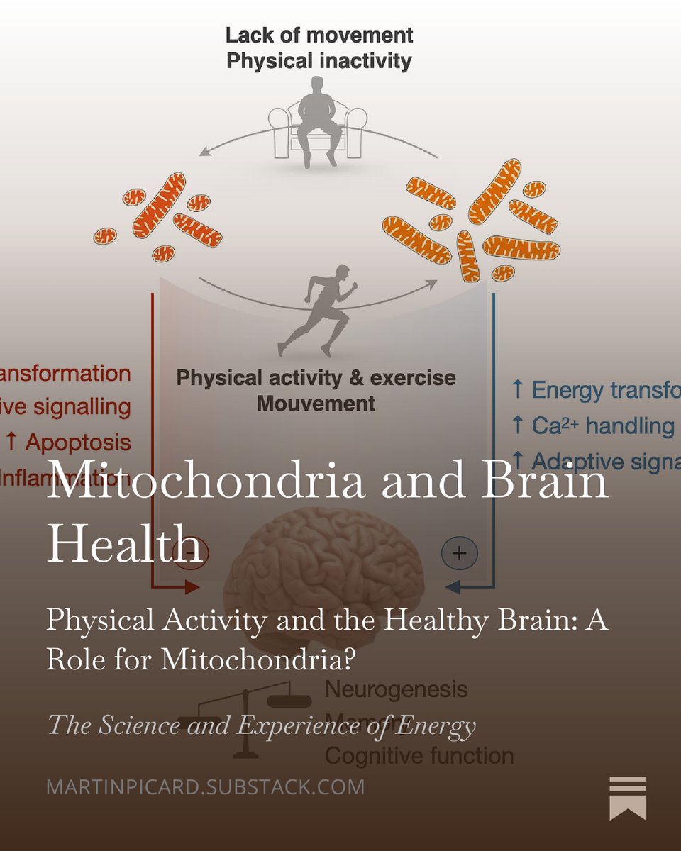 Martin Picard tweet media