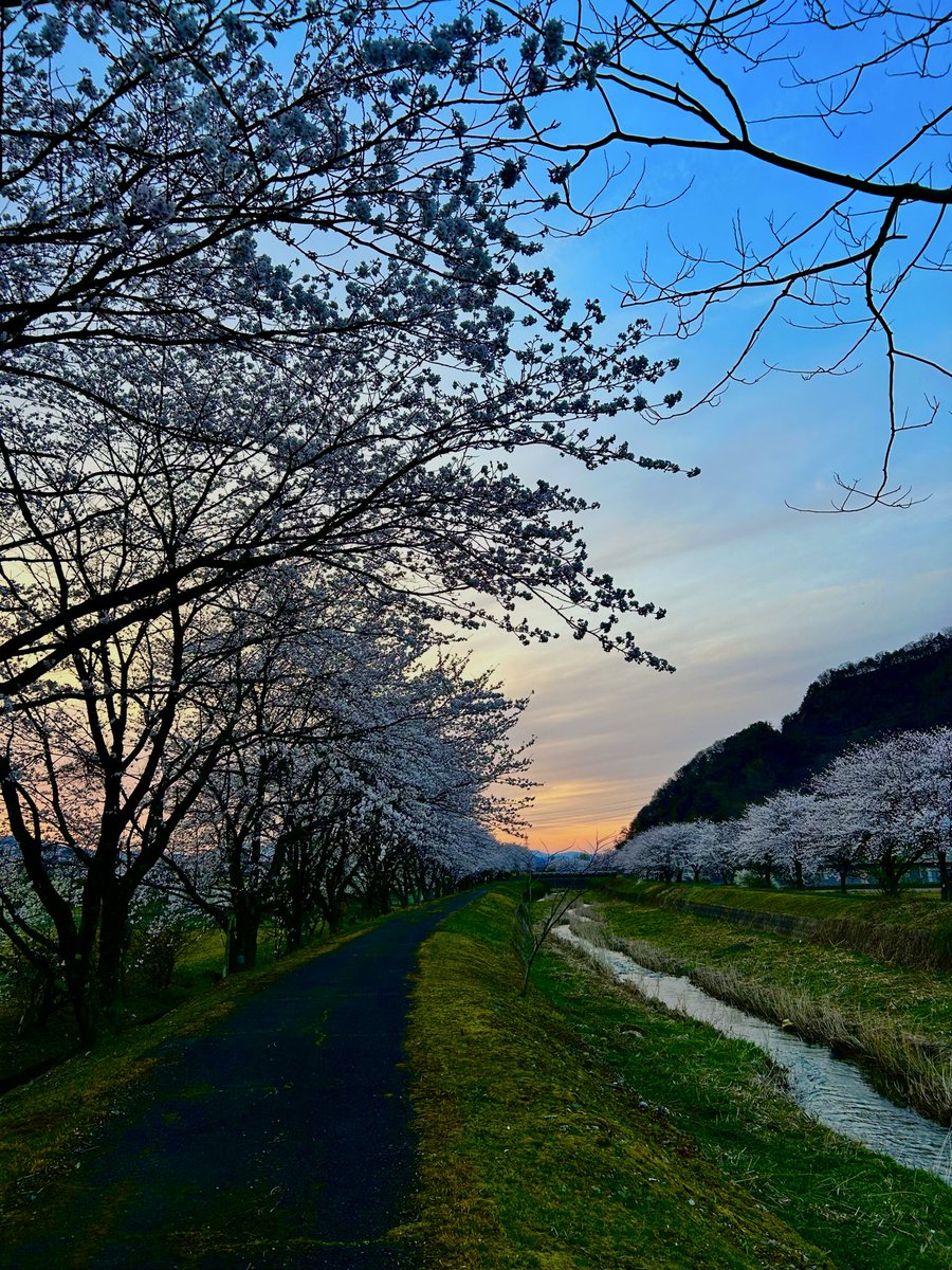 Scilq9's tweet photo. 地元の大好きな場所❀.*ﾟ https://t.co/7DUzYnm3a3