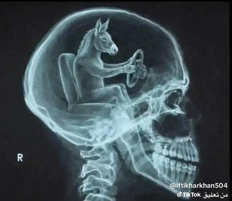 وكت أغبر tweet media