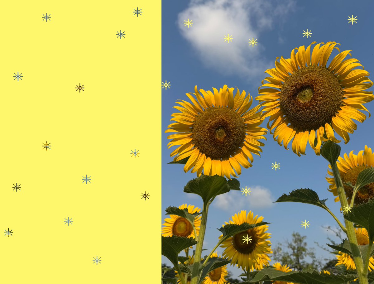 𝙪𝙣𝙪𝙣𝙛𝙖𝙝🥯 tweet media