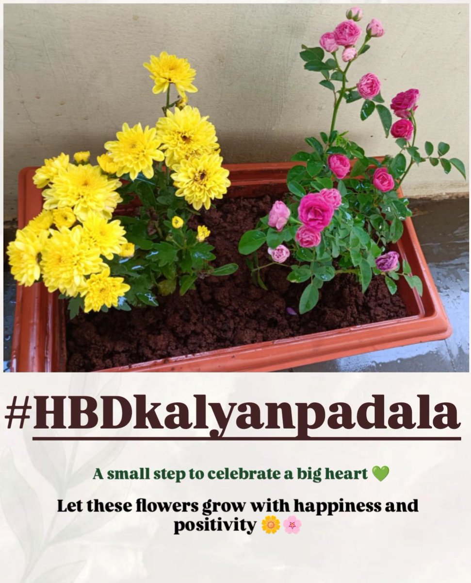 Kalyan Trends tweet media