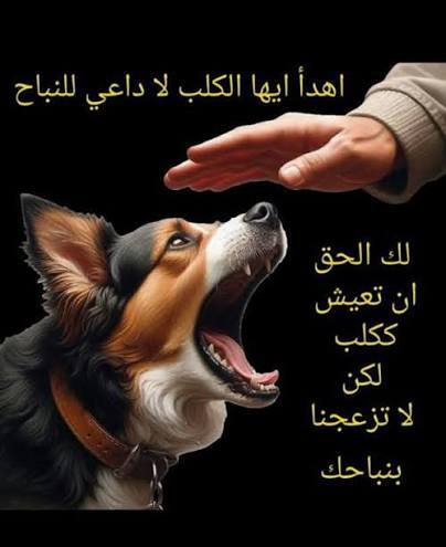 وكت أغبر tweet media