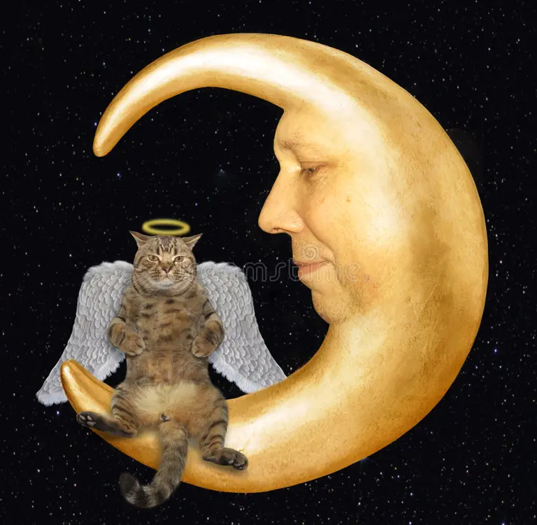 ibraquant's tweet photo. The only way is to the moon.

$Barsik https://t.co/BDrNk6UGyG
