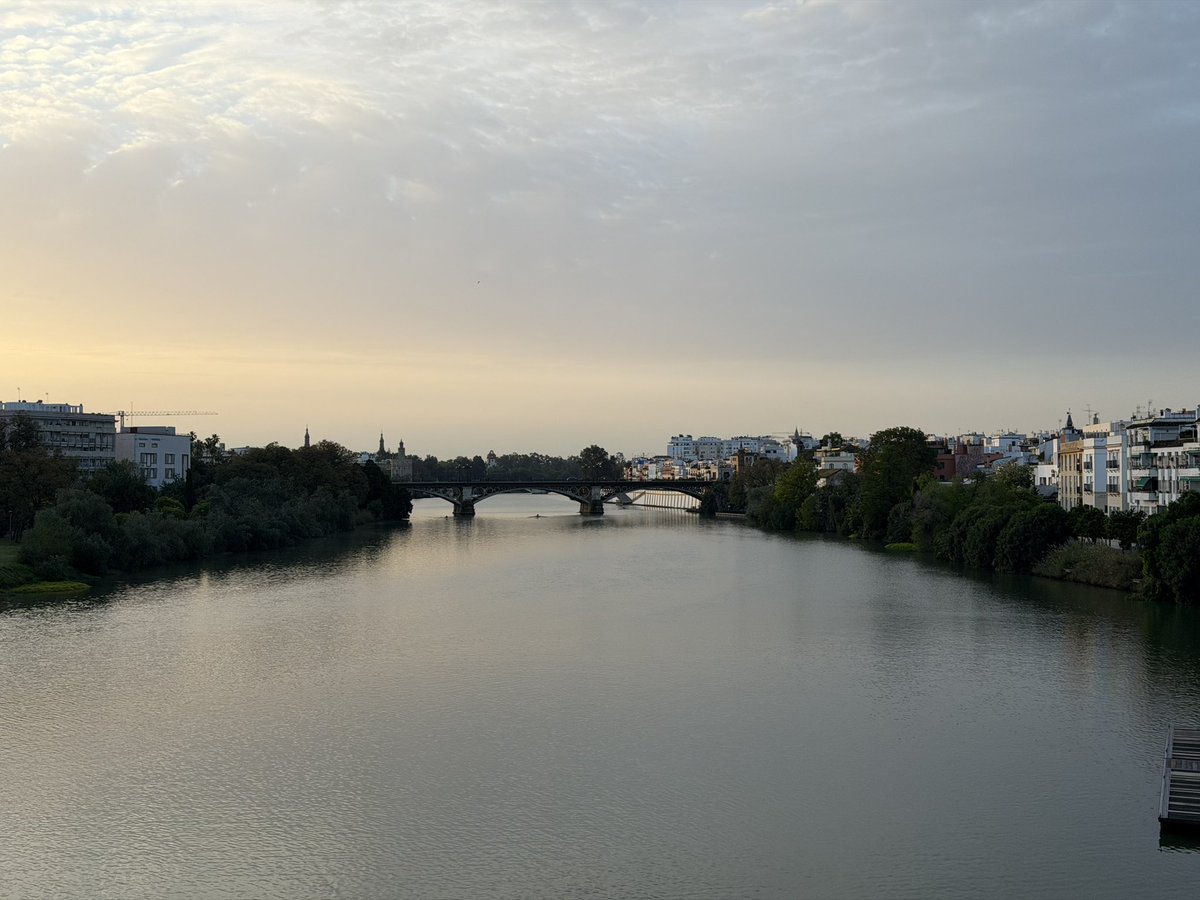 Lorena Muñoz Limón tweet media