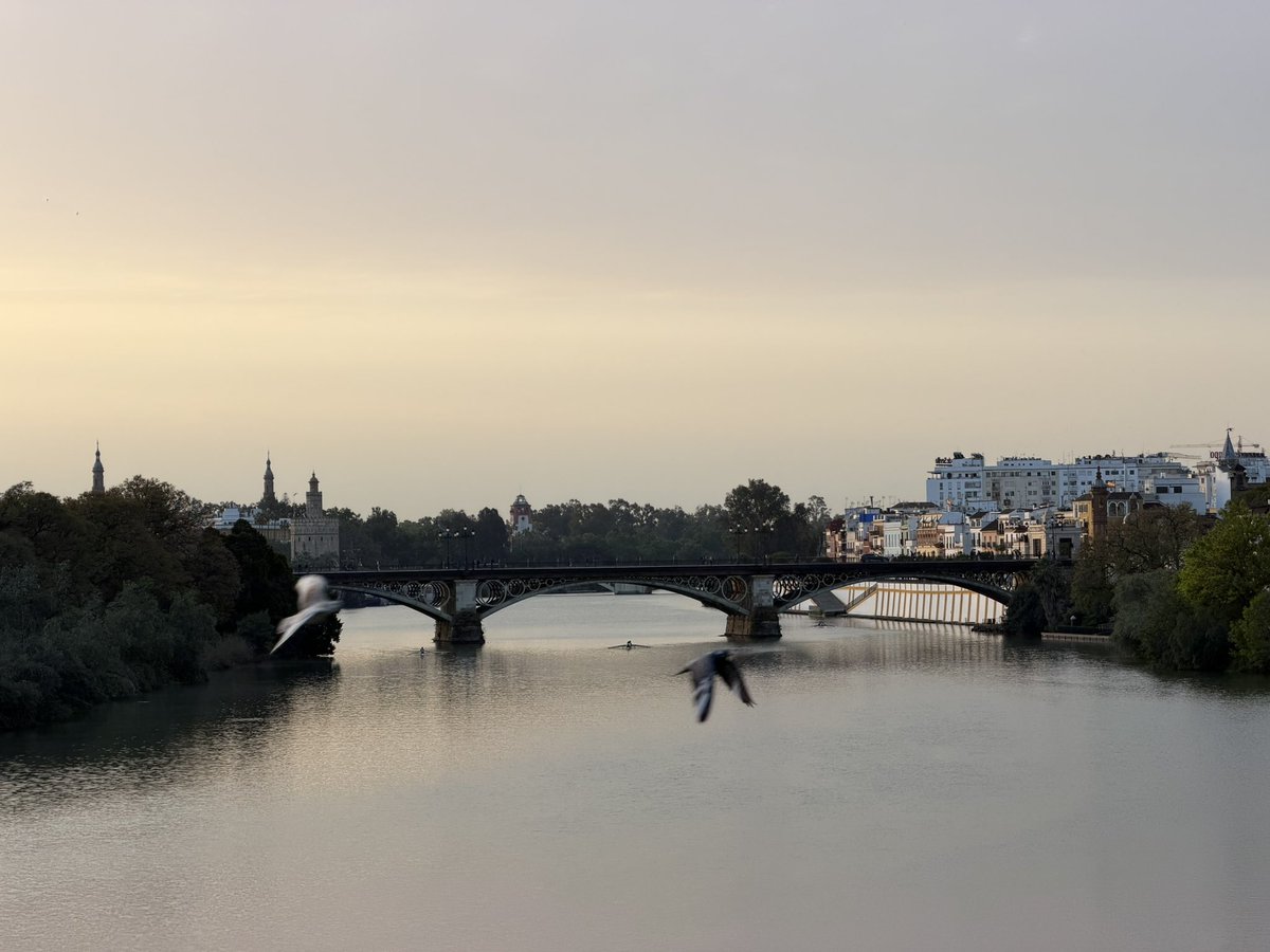 Lorena Muñoz Limón tweet media