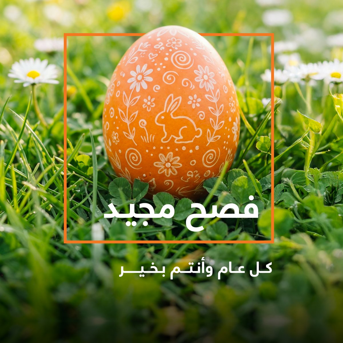 Orange Jordan tweet media