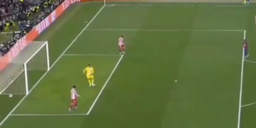 Cerdo Culerdo tweet media