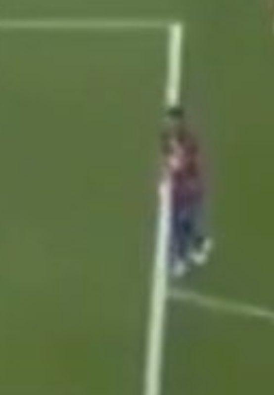 Cerdo Culerdo tweet media