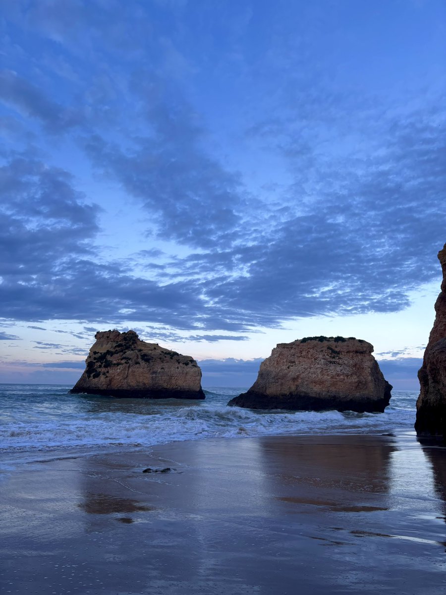 dangermouse tweet media