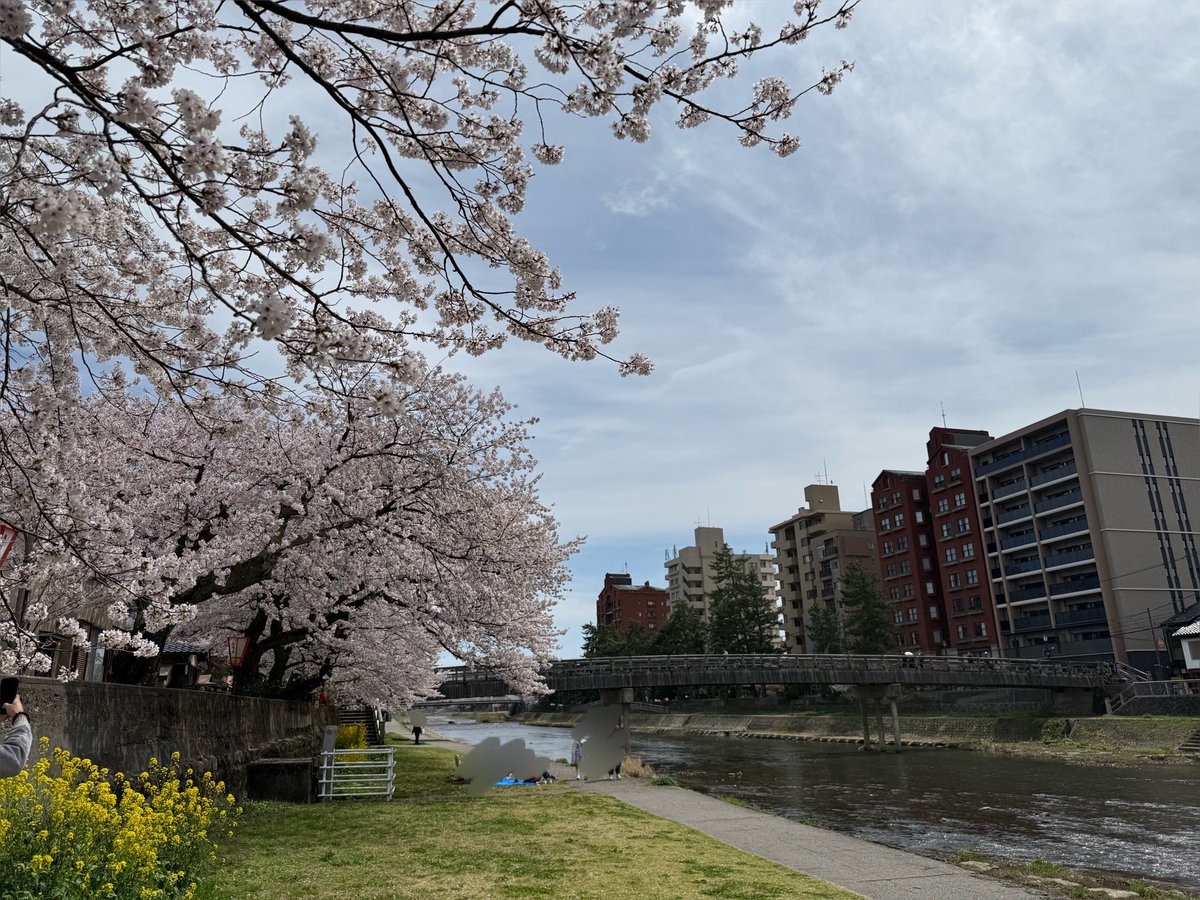 ElleWoods0929's tweet photo. 息子の短い春休みに北陸の旅へ。
金沢ではハイアットに宿泊!
友人に「家族旅行でこっそり推し活🫶」って報告したら「いやそれオタ活に家族旅行つけ足してるだけ」って返信きた笑
北陸はどこも桜満開でした!
#WorldofHyatt
#BeMoreHere
#YutaKishi https://t.co/ZbkJfKe6yi