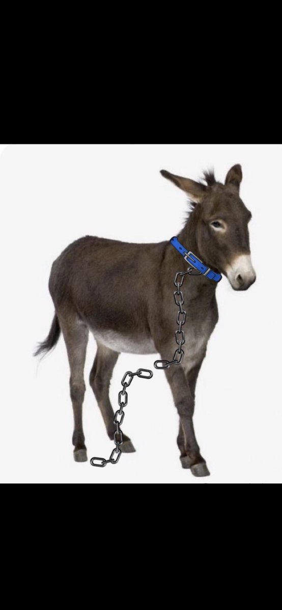 خلف الدهمشي العنزي tweet media