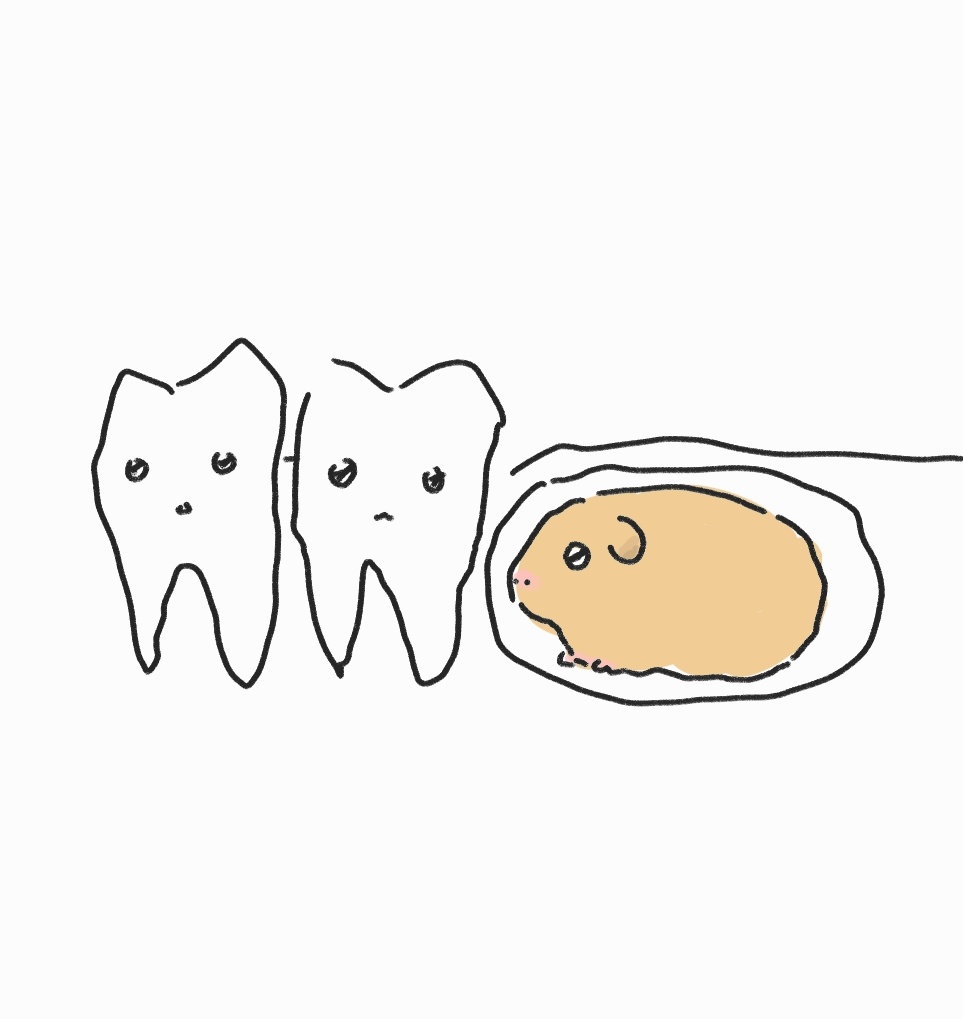 퍼깍소 tweet media