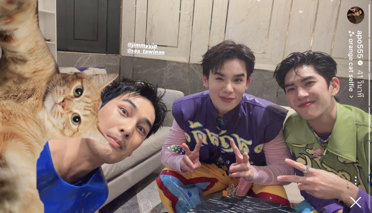 𝙿𝙴𝚁🐈 tweet media