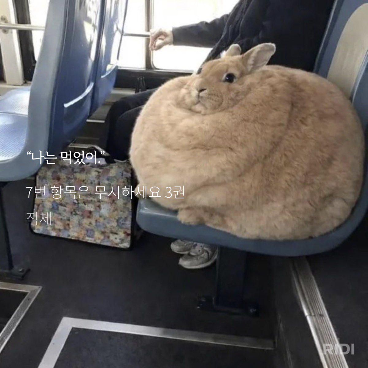 momo tweet media