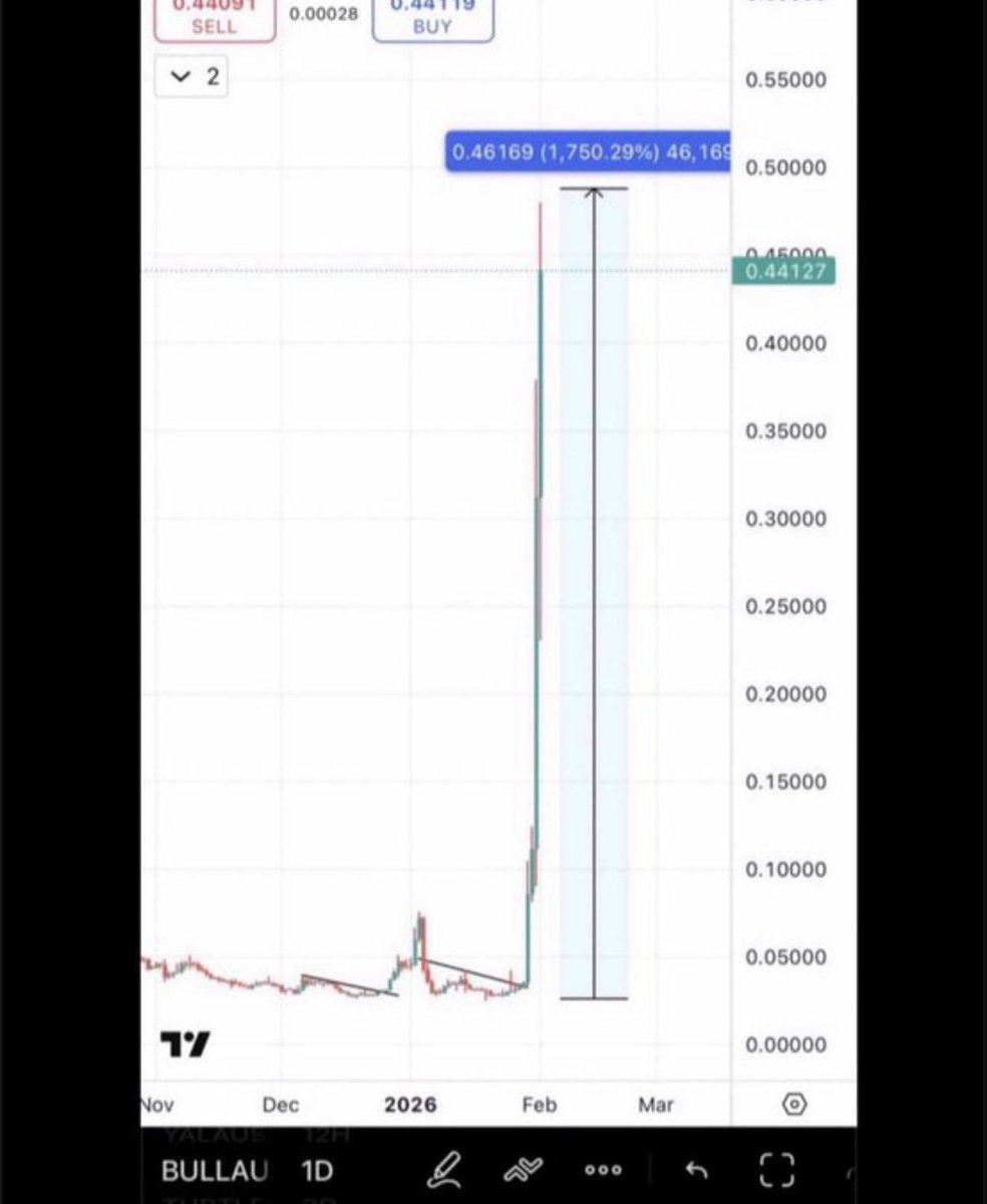 BitcoinHabebe tweet media