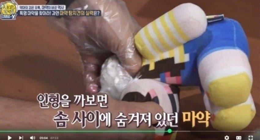 Netubi_네튜비 tweet media