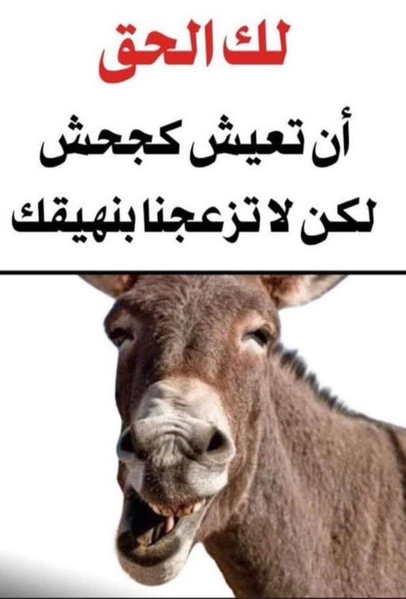 إبن الناصريه حساب ٣ tweet media