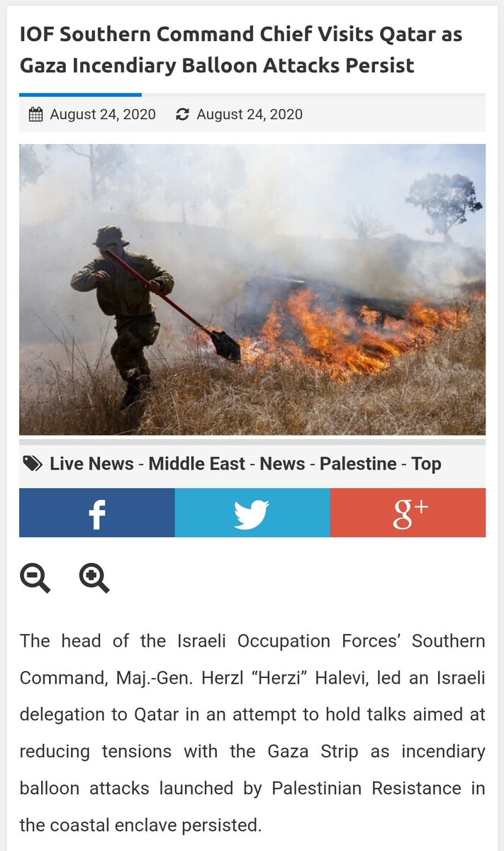 Yousef 🔻🇶🇦🇵🇸 tweet media