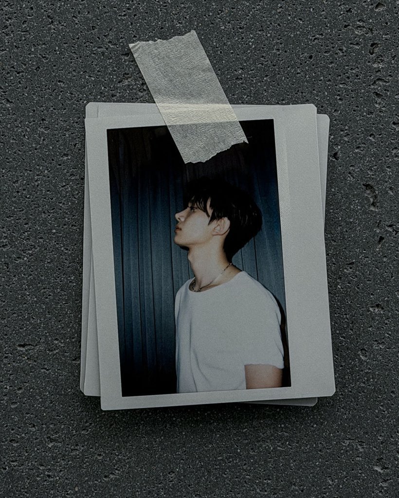 tara ⋆.˚ enhypen is 7 tweet media