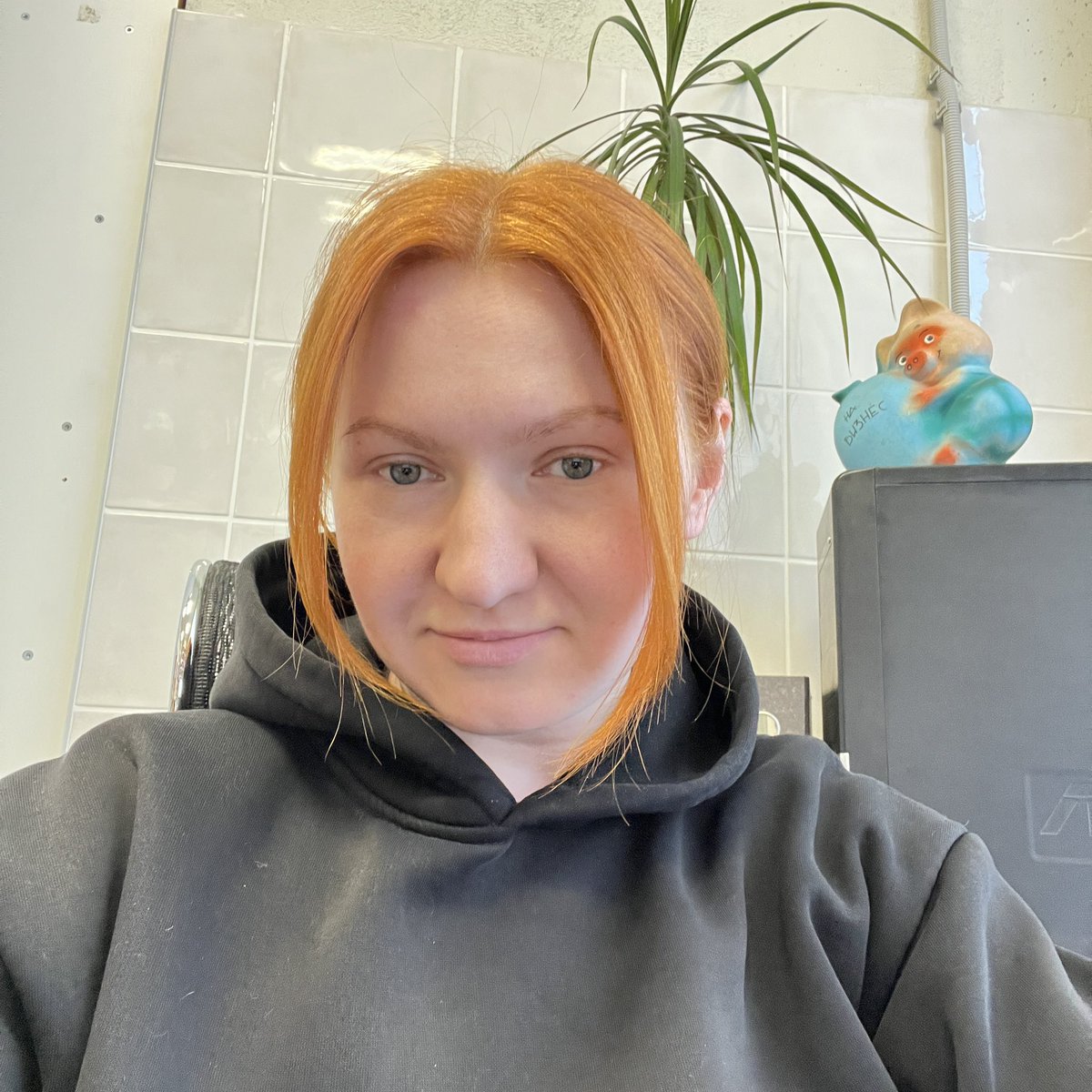 бипа tweet media