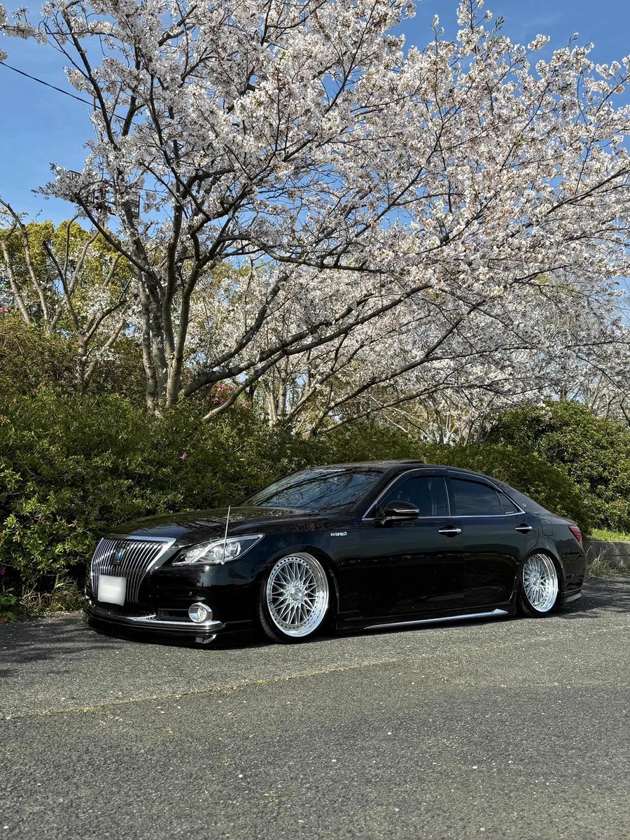 【SUPER STAR CO.,LTD.】スーパースターホイール tweet media