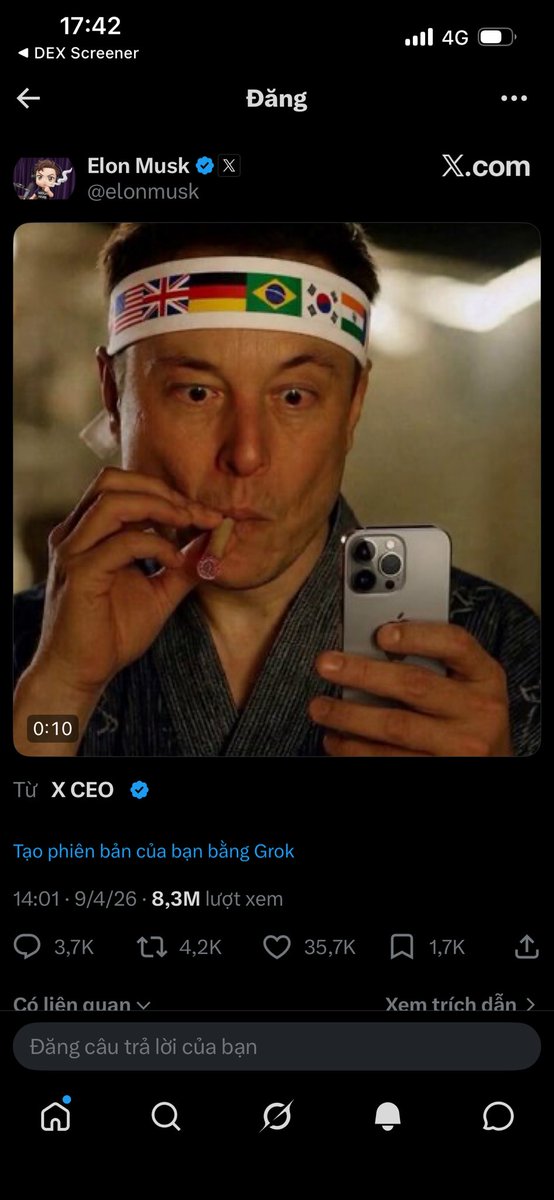 Crypto X100 tweet media