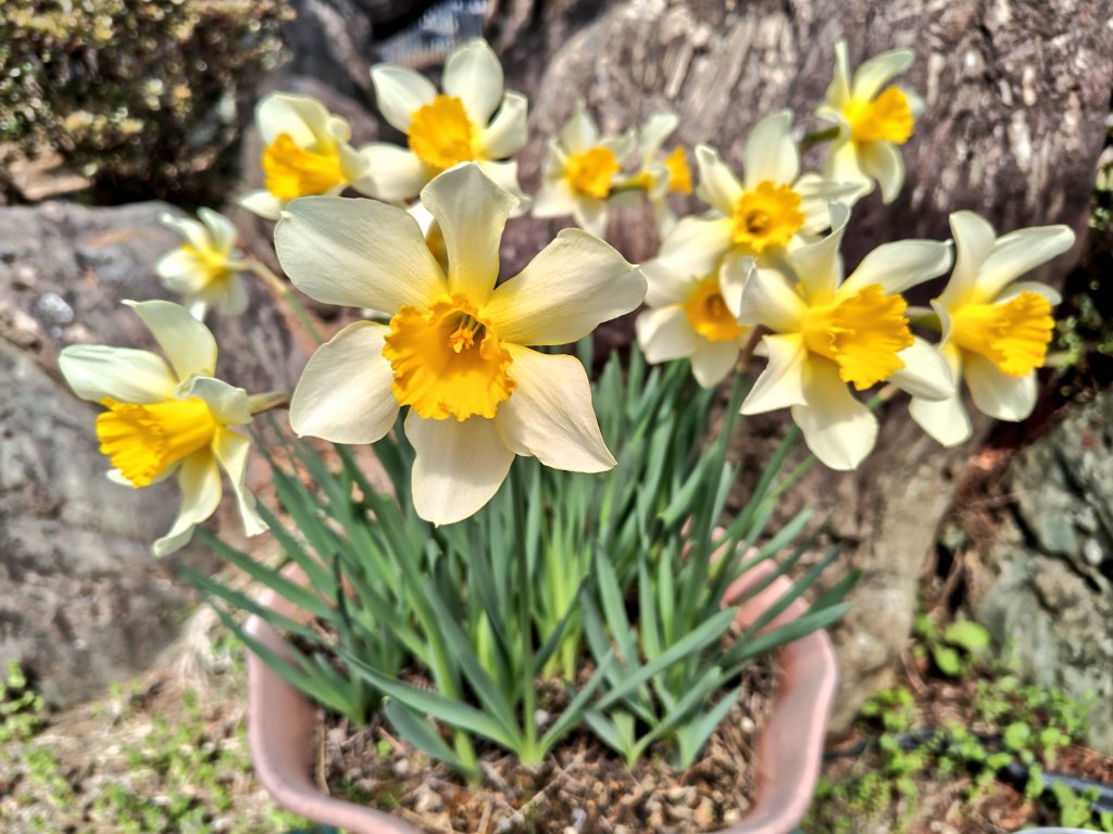 ちはるん tweet media