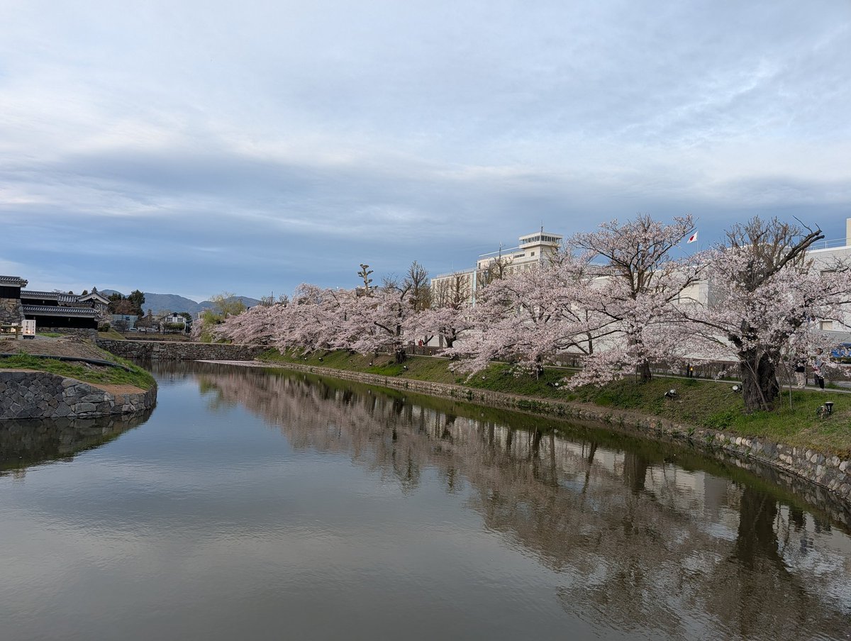 leica_elmar tweet media